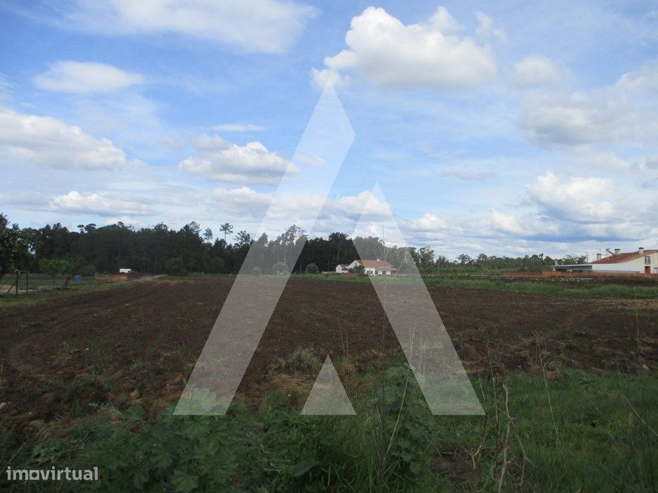 Land Plot near Oiã