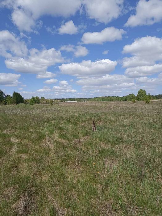 Ділянка під буд-во, 0,1125 га, с. Свидівок, вул. Зелена (п3)