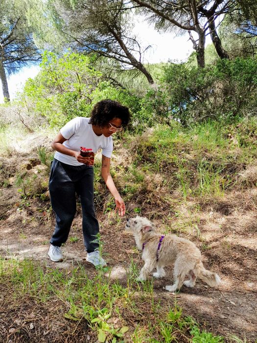 Pet Sitting  Cats e Dog Walking