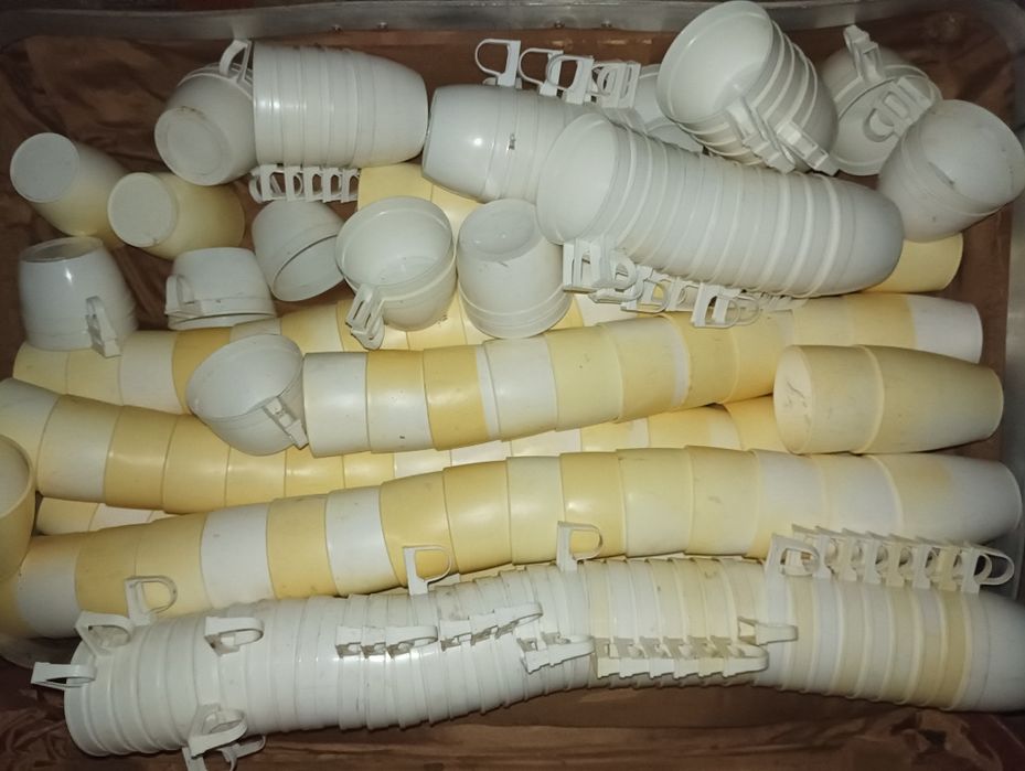 Стакан (стаканы) для рассады