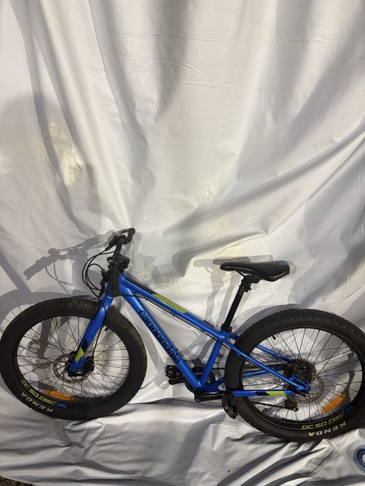 Cannondale Trail Plus 24 – Bicicleta BTT Infantil/Júnior – 8 Velocidades