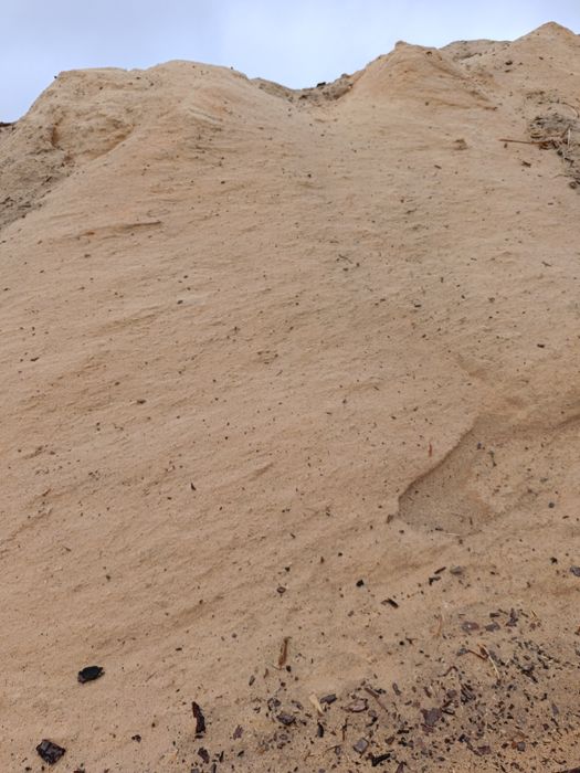 Trociny, trocina czysta