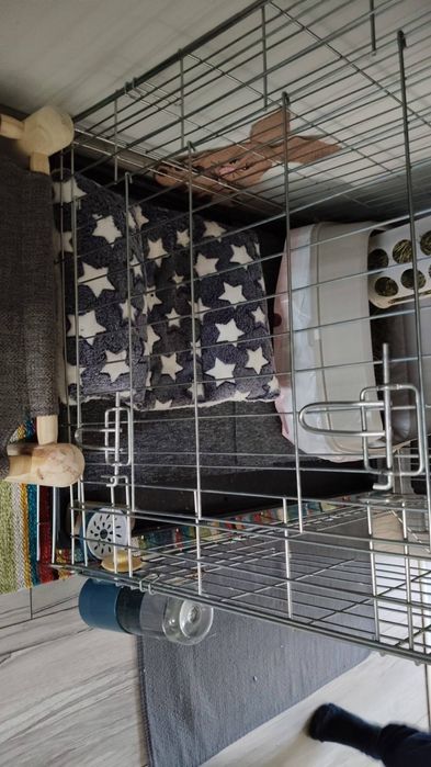 Klatka dla psa krolika