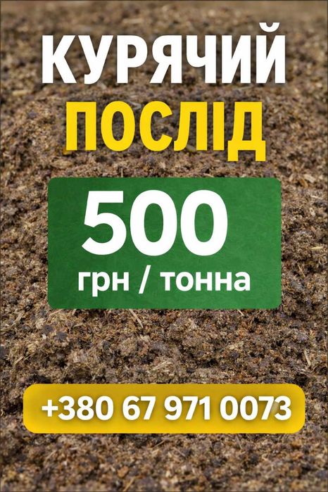 *Курячий Послід*