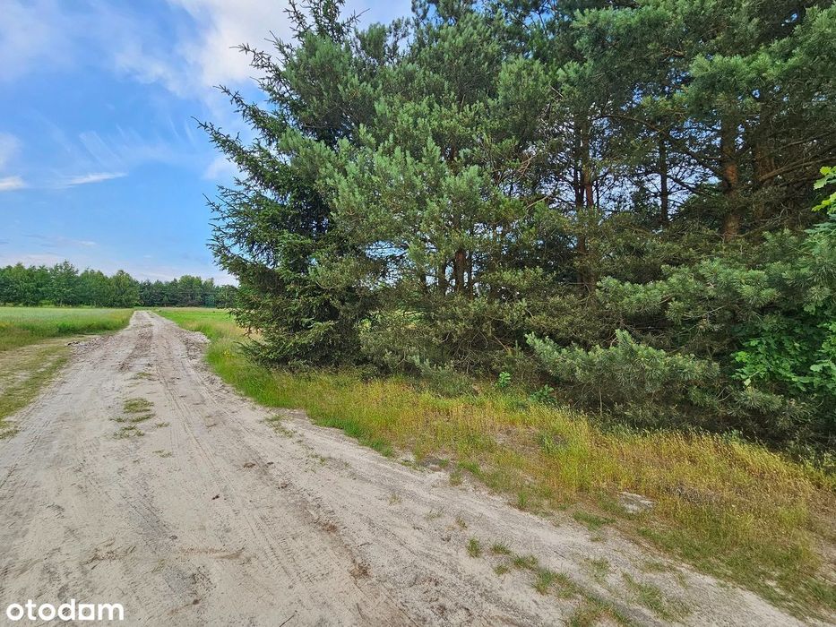 Działka budowlana nad jeziorem BIAŁKA. Parczew - View 3