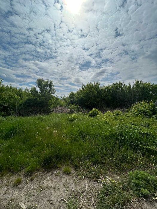 Земельні ділянки 1.05 га (0,36 та 0.69) в с. Гродзеве Уманський район