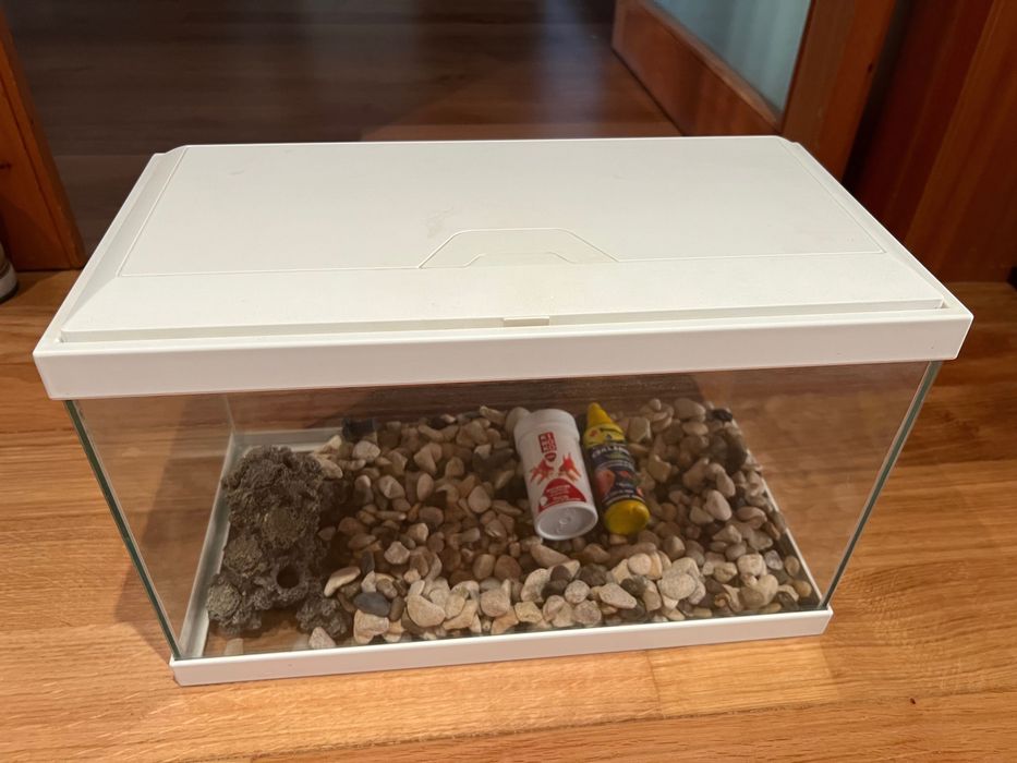Aquário em vidro ~15L com tampa branca – Bom estado