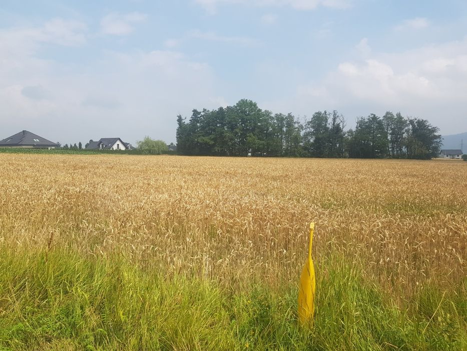 Działka budowlana