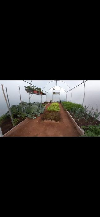 Estufas agricolas somos fabricantes