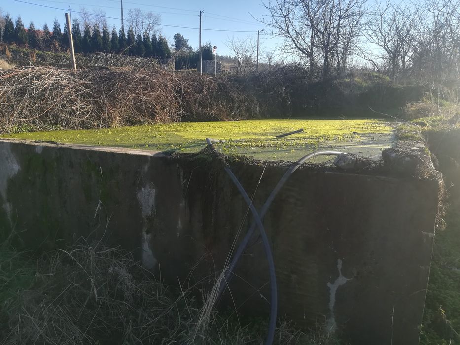 Quinta com possibilidade de construção