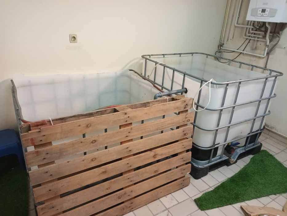 Tanques aquario peixes