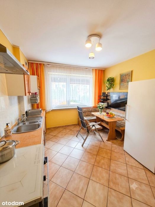 Fantastyczna szeregówka pod lasem