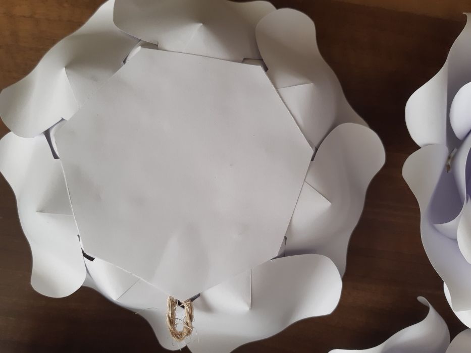 Róże oo 3D typ Chanel