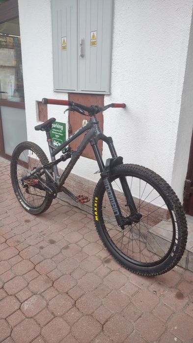 Dartmoor Blackbird 2024 m