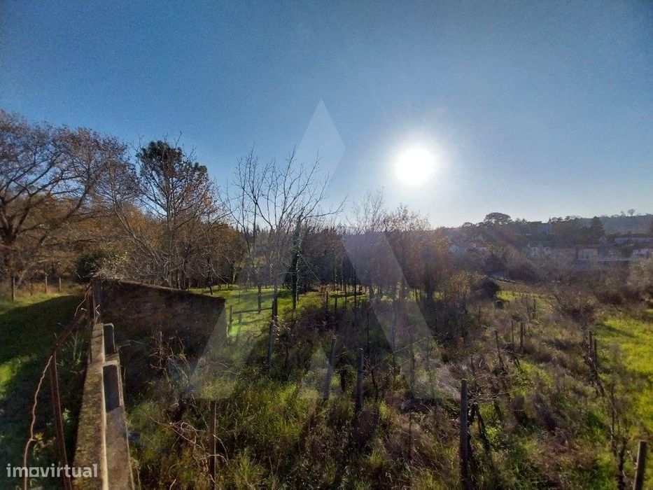 Terreno em Jafafe - Macinhata do Vouga