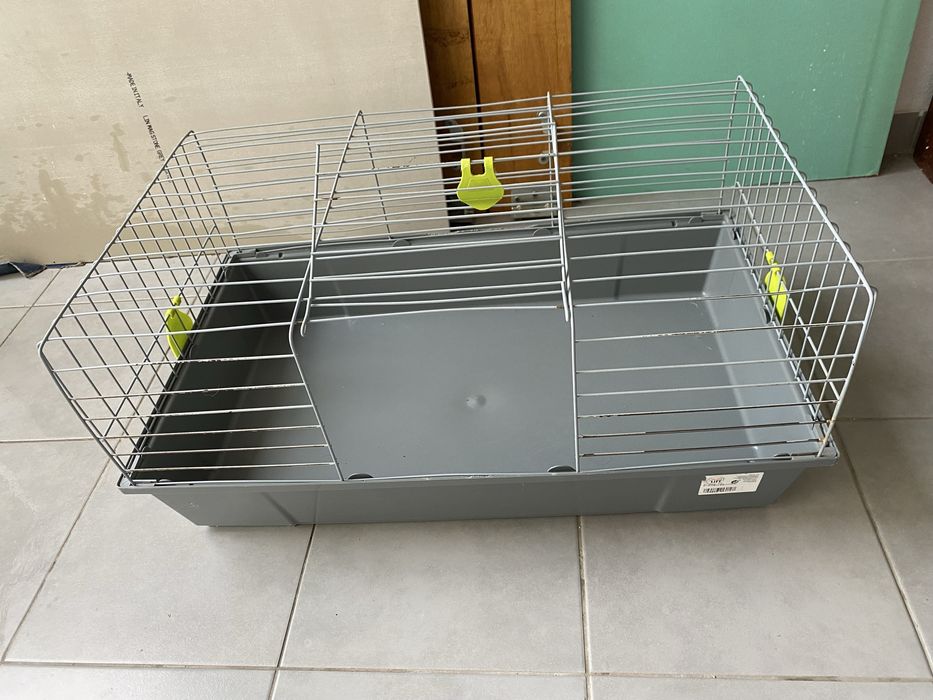 Gauola coelho/roedores