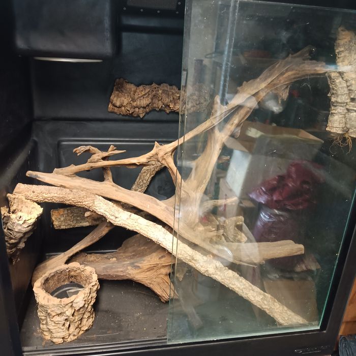 Terrarium profesjonalne Herptek 90x60x100 cm legwan, waran boa morelia