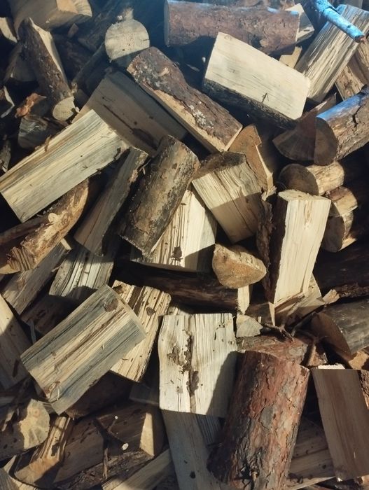 Drewno sosnowe na opał