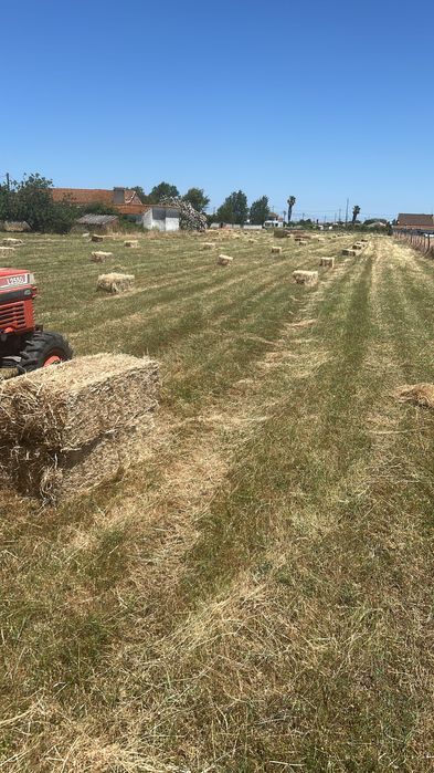 Fardos de palha/feno