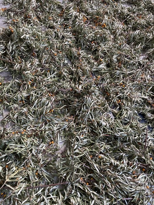 Чай облепиховый