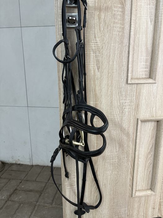 Ogłowie z wędzidłem