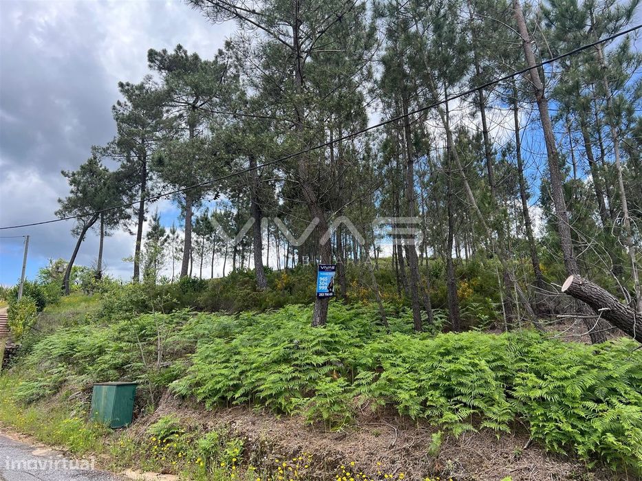 Terreno Para Construção  Venda em Arnóia,Celorico de Basto — Codeçoso, Braga