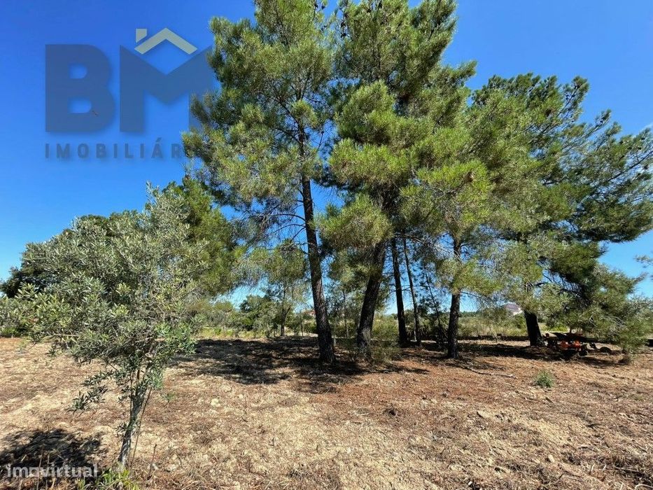 Terreno de 4000m² à Venda em Freixial do Campo