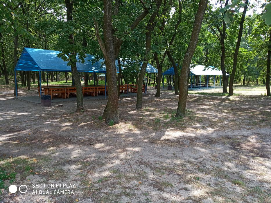 Продаётся база отдыха в лесу г. Новомосковска. Лучшее предложение!