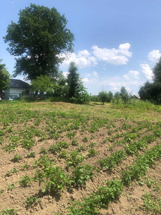 Продається земельна ділянка під житлову забудову в с. Підгір'я
