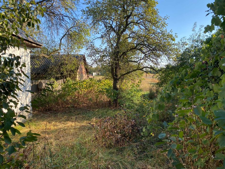 Продам будинок Чернігівська обл. с. Любечанинів