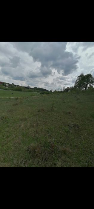 Земельна ділянка