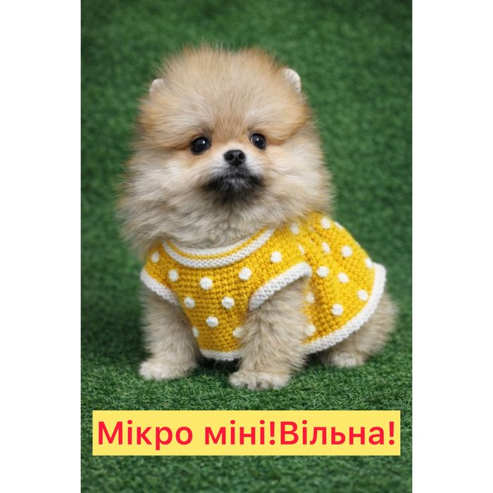#Mini!Puppet! Найлагідніше маля !