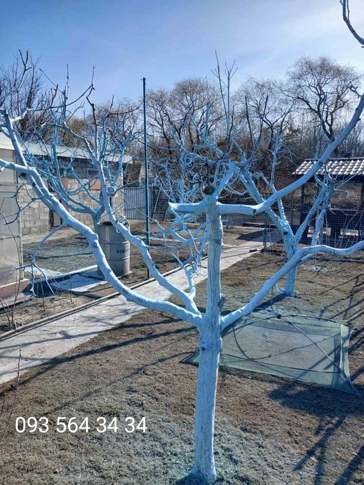 Известь комовая негашеная