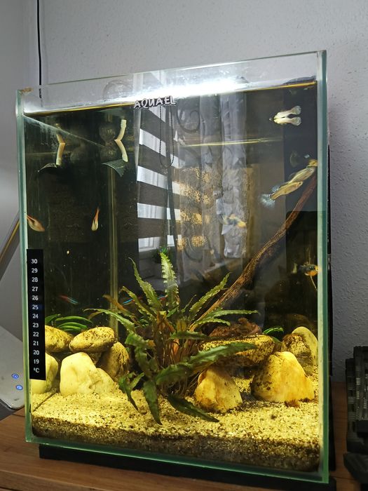 Akwarium 30L. . .