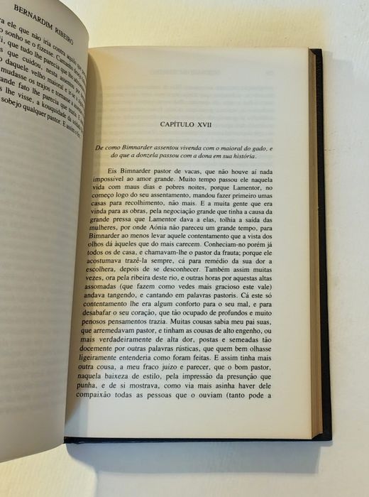 Menina e Moça, de Bernardim Ribeiro