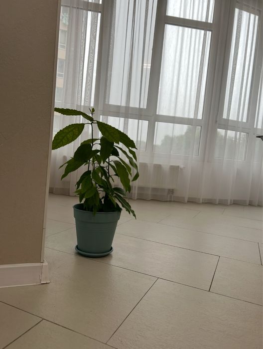 1-кімн. квартира. Новобудова по вул.Зарічанській.  Подобово.На місяць