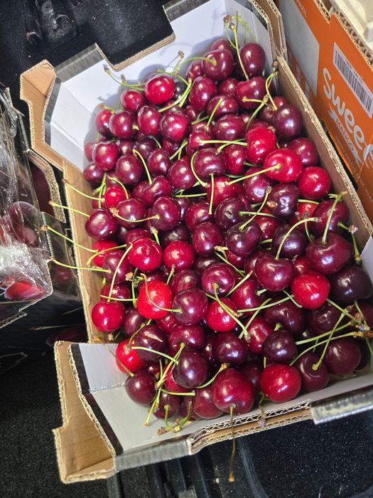 Caixinhas de deliciosas cerejas para entregas