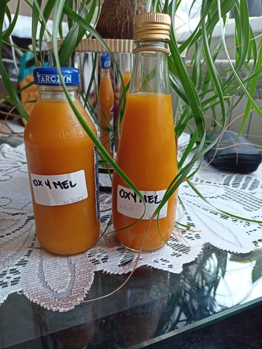 Oxymel plus ocet jabłkowy rezerwacja