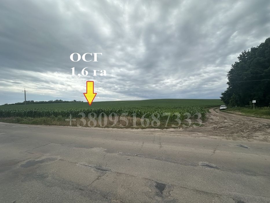 Новосілки.(Фастівський рн)Продаж кутова ділянка 1.6га., вздовж траси.(200$/сот.) – pohled 5