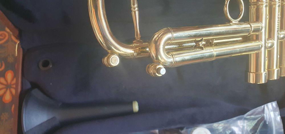 CarolBrass Trombeta Trumpet Dutch Jazz Bastard