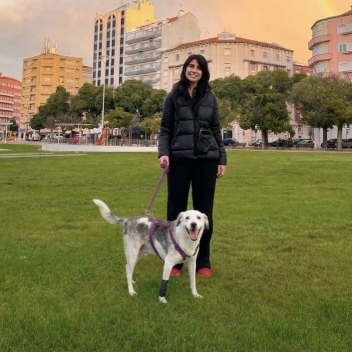 Pet Sitter, Creche Individual Lisboa | Pet Care & Day Care