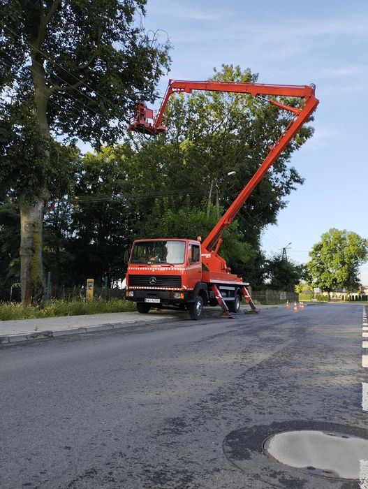 Wycinka drzew kompleksowo wywóz rębak frezowanie pni