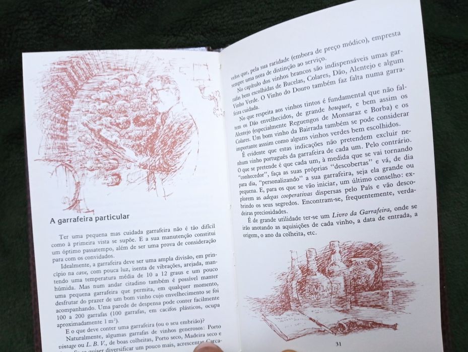 Vinhos e queijos Portugueses. Um Guia Muito Prático.