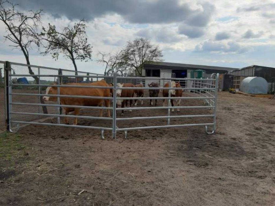 Wygrodzenia mobilne panele dla bydła i koni TEXAS