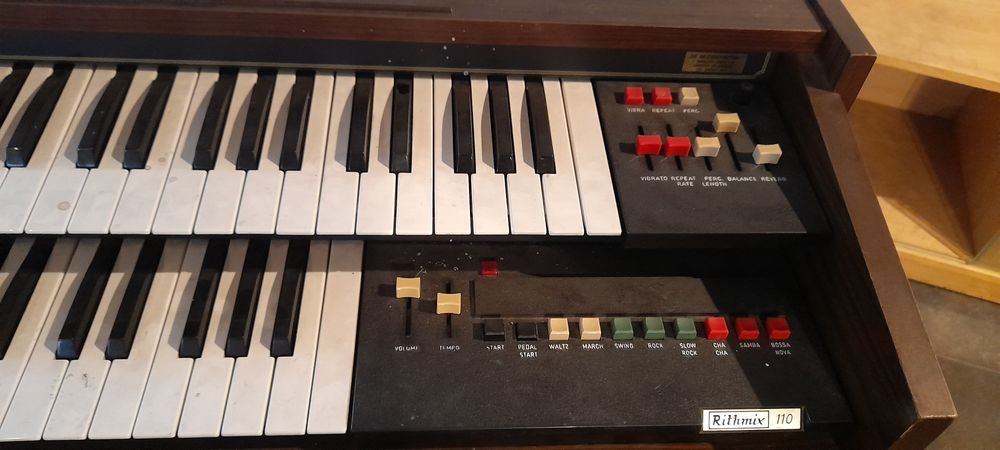 Organy Solina - za darmo