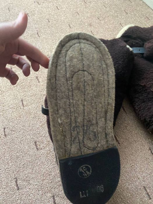 Породам унти з півночі