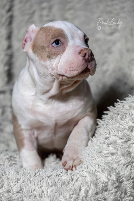 Голубоокий хлопчик , 2,5 міс