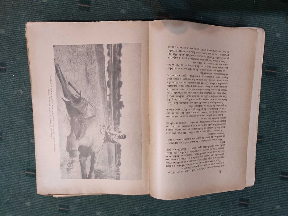 Da Vida e da Morte dos Bichos-2 Vol(I Elefantes Rinocerontes/III Leão)