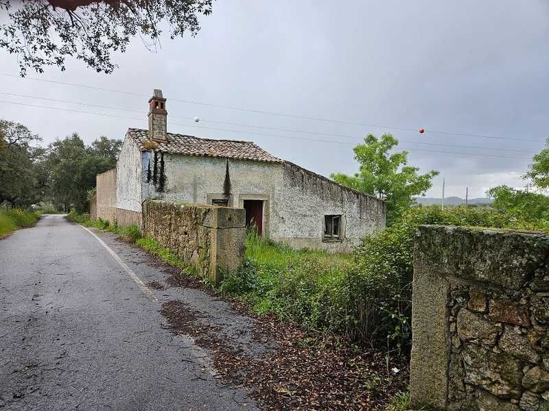 Quinta a 2Kms da cidade Castelo Branco 12,69 Hectares