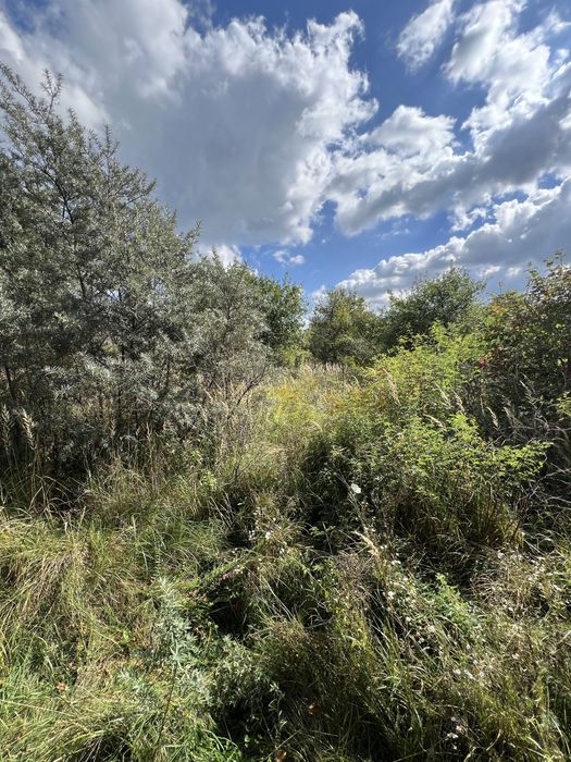 ПРОДАЖ! Земельна ділянка 6 соток ( 1 500 $/сотка) Львів, Рясне-Руське